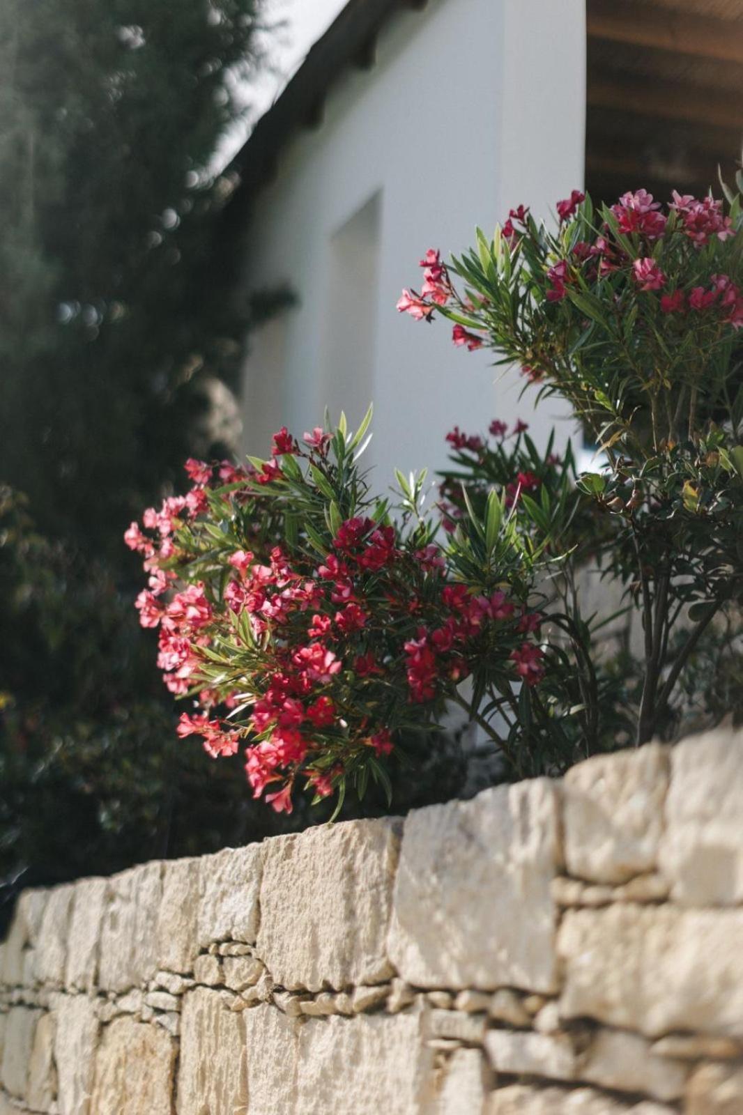 Cecilias Courtyard Guest House Malia Exterior photo